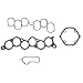 Fel-Pro MS95407 Plenum Gasket Set