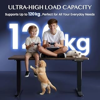 FLEXISPOT EC5 Plus Bureau Assis Debout Capacité de Charge 120kg,Électrique à 2 Moteurs,Cadre de Bureau Réglable en Hauteur,Panneau de Contrôle avec Port-Type C/A,Système Anti-Collision,Noir