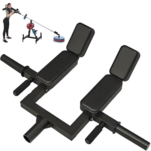 Musculación en Casa Brazos Marca SZSXYBZ