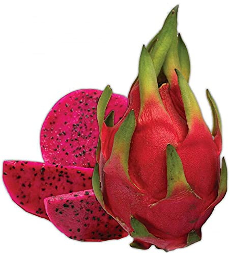 50Pcs Red Dwarf Dragon Fruit Seeds, Cactus Garden Plant Seeds, Juicy And Delicious #TOP2