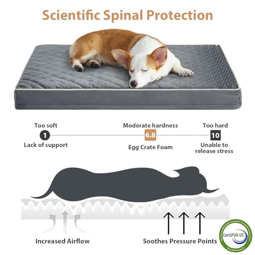 WNPETHOME Orthopedic Big Dog Beds Large Sized Dog, Waterproof Extra Large Dogs Bed with Removable Washable Cover, Multi-Needle Quilting Dogs Crate Bed