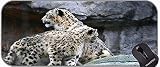 YENDOSTEEN XXL Gaming Mater Mat Extended, Snow Leopard Zoo Cat Gato Antideslizante Base de Goma Mousepad