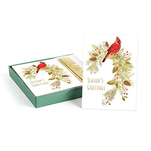 Masterpiece Pine Perched Cardinal Christmas Cards / 16 Boxed Bird Holiday Cards With Gold Foil Accents And Gold Foil Lined Envelopes / 5 5/8