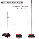 TreeLen B0D4QHKDJM lato 3