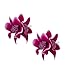 Produktbild SIX 2er Set Haarspangen [Damen Haarschmuck] - Premium Haarclips » Clips für Haar « Beliebter Frauen Schmuck - Stylische Haarklammer mit Textil-Lilien  vergoldete Haarnadeln (488-030)