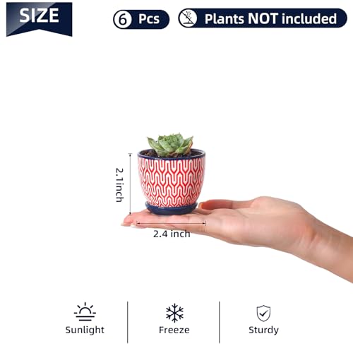 Selamica Ceramic 2.4 Inch Succulent Pots, Mini Flower Pots for Cactus Plant with Drainage Holes & Saucers, Home Decor, Set of 6, Assorted Colors by Selamica - Used condition - Image 3