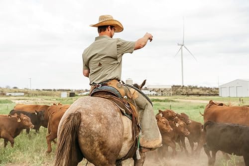 Men's Short Sleeve Hay Baler Button Down Shirt, Breathable Performance Work Shirt for Farmers and Ranchers with UPF303