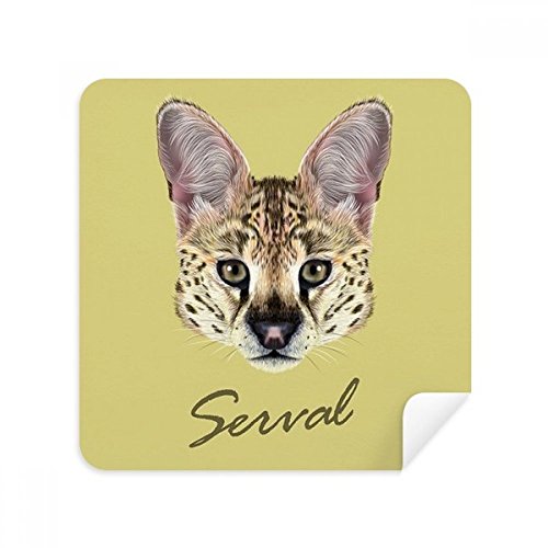 Nettoyage lunettes et écran sans traces tissu daim serval