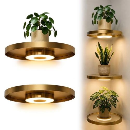 Floating Wall Shelf with Built-in Ambient LED Light, Plant Display Rack，2