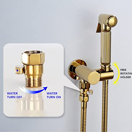 Pulvérisateur de bidet pour toilettes en laiton doré