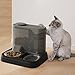 MOUNTTU Automatic Cat Feeder 11x9x9in 2 in 1 Large Capacity Detachable Safe Dog Cat Feeder and Water Dispenser for Pets Animals and Water Dispenser Automatic Dog