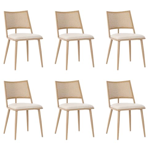 Loungesessel PU-Sitz Rattan-Rückenlehne Freizeitstuhl für Wohnzimmer...
