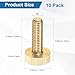 M METERXITY 10-Pack Knurled Thumb Screws, M6x20mm Solid Brass Flat Head Fully Threaded Knobs Bolts Fasteners W Grip for Electronic/Equipment/Industry/Home, Thumbscrew Threaded Knurled Tip