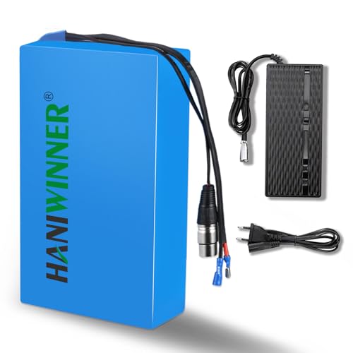 F-wheel 48V Ebike Battery