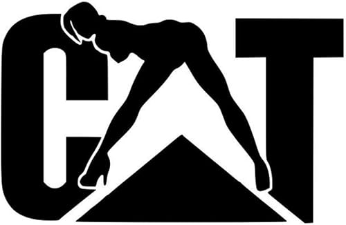 Funny Construction Meme - Calcomanía de vinilo para casco duro de 3 pulgadas