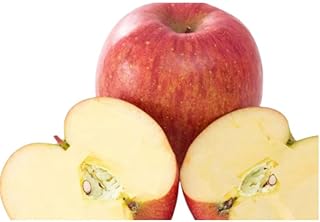 2月 特A サンふじ約5kg（12～18個）14.5度糖度保証【青森りんご・ゆうきアップル・2月】