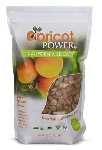 Apricot Kernels - Natural Support & Antioxidant Benefits - 32oz