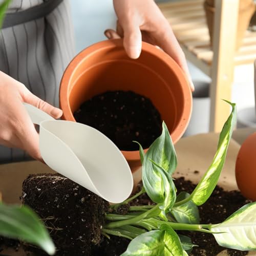 El mejor review de Gravilla volcánica en jardineras más recomendados. 3 Imagen adicional