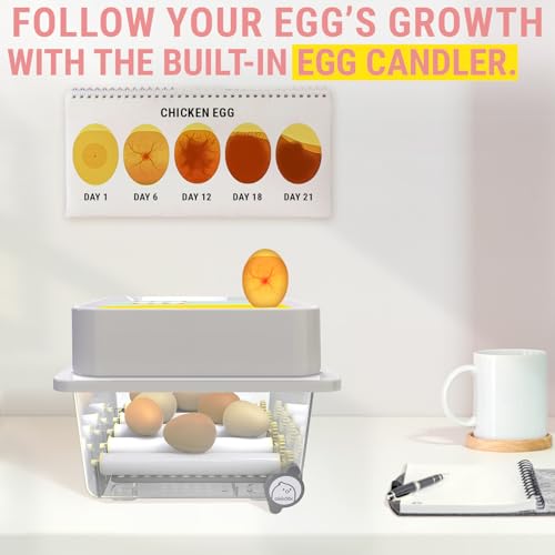OBI-12 Egg Incubators for Hatching Eggs – Incubator for 12 Eggs with Automatic Egg Turner - Brooder for Chicken Eggs, Quail, and Duck Eggs - Yellow
