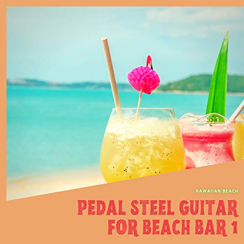 Best Pedal Steel Guitar Bar Weight Expert Review The Modern Record