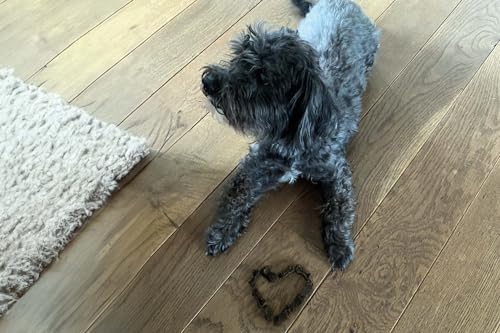 Martin Rütter Trainingsknöchelchen Insekt | Snack für Hunde | 150 g