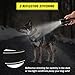Upgrade Taktisches Hundehalsband Mit Kontrollgriff, Weich Gepolstertes Nylon Hundehalsband Verstellbare Halsband für Mittlere Große Hunde - Reflektierend für das Training