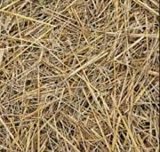 Rice Paddy Straw in Cut Form for Mushroom Farming and Gardening, Shrubs and General Beds Mulch (1.5 kg) (B08B452K3V) Amazon Price History, Amazon Price Tracker