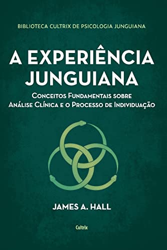 A experiência junguiana: conceitos fundamentais sobre análise clínica e o processo de individuação