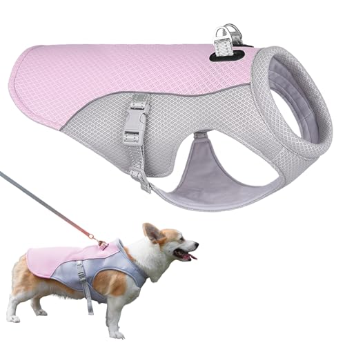 ̕Appn[lXA3w\̌ppxXgApR[g ʋC MǑ΍AG߂̃ybǧ̃nCLOA^Ag[jOAUAoRp̕