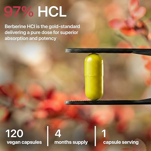 Berberine 97% HCL 2000mg | 120 Vegan Capsules | 4 Month Supply | One-Per-Day | No Fillers, Binders or Additives | Made in The United Kingdom - Image 2