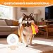 Bestwist Zerrspielzeug Hund, Training Interaktives Hundespielzeug für Kleine, Mittlere und Große Rassen, Plüsch Hundespielzeug Quietschend für Langeweile, Linderung von Angstzuständen