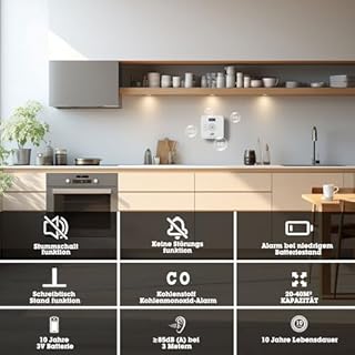 Détecteur de monoxyde de Carbone, Pile de 10 Ans Détecteur de CO avec écran LCD et Bouton de Test Silencieux, Conforme à la Norme EN50291, avertisseur de monoxyde de Carbone