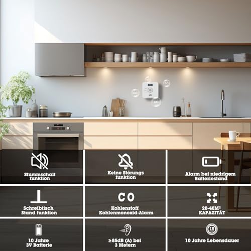 Kohlenmonoxid Melder, 10-Jahres-Batterie CO melder mit LCD-Display und Silent-Test-Taste, EN50291 konform, Kohlenmonoxid-Warner (TCS0202A)