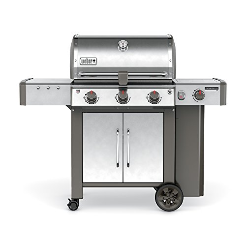 Weber 61004001, Stainless Steel