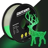 GIANTARM