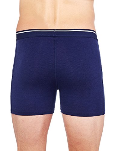 icebreaker Men Merino 150 Anatomica Boxers Wfly2