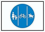 HB-Druck Schild Getrennter GEH-, Rad- und Reitweg Symbol A3 (297x420mm)