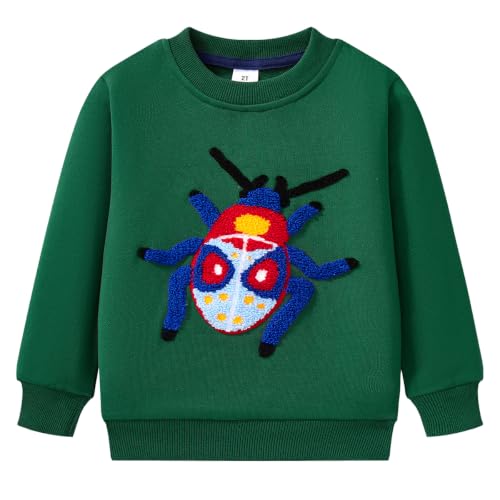 Image of Popshion Toddler Boys Sweatshirt Cotton Lightweight Kids Winter Warm Sweater Crewneck Pullover Tops