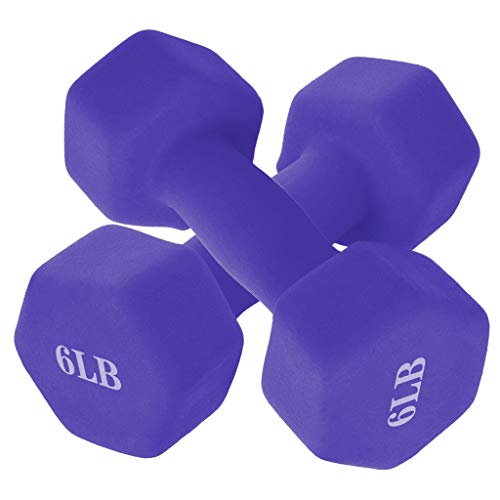 Dumbbell Barbell Weight Pair, Free Weights 2-in-1 Set, 6/8/10/12/15 LB Barbell Neoprene Coated Dumbbell Weights, A Pair of Dumbbell for Women Men, Non-Slip Hand, Home, Gym, Office, Purple (A 6lbs X 2pcs)