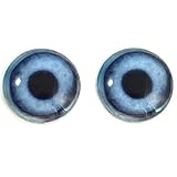 Blue Dog Glass Eyes Realistic Animal Pair for Puppy Art Doll Parts, Sculpture, Prop, Mask, Fursuit Supplies, Jewelry Making Cabochons, Taxidermy, and More (30mm)