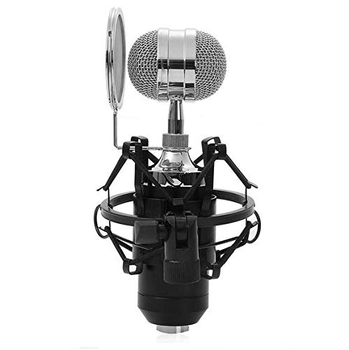 eWINNER Black Condenser Wired Microphone With Plug Stand Holder Pop Filter for KTV Karaoke Studio Recording