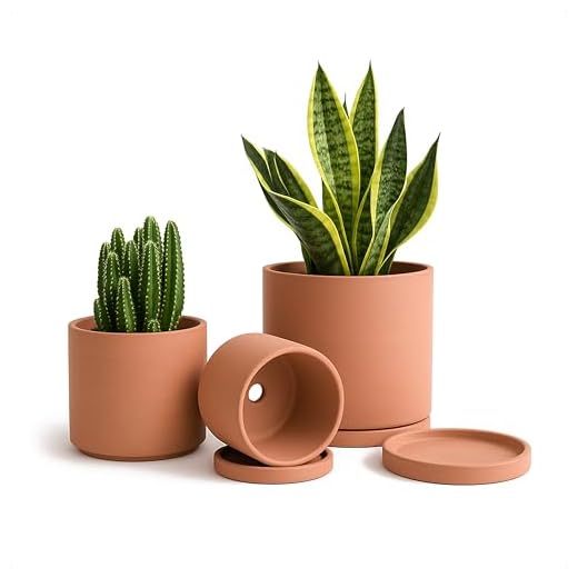 D'vine Dev Terracotta Pots for Plants, 4.2 Inch 5.3 Inch 6.5 Inch, Succulent Planter Pot with Drainage and Saucer, 40-A-T-1