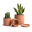 Terracotta