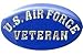 Gift House U.S. Air Force Veteran Pin