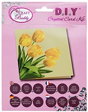 Crystal Art Robin Crystal Art Card Kit 18 x 18 cm