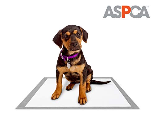 ASPCA Mountain Air Scented Training Pads (100 Pack)