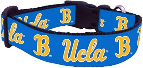 Collier pour chien XS UCLA ajustable petit chien et chiot nylon