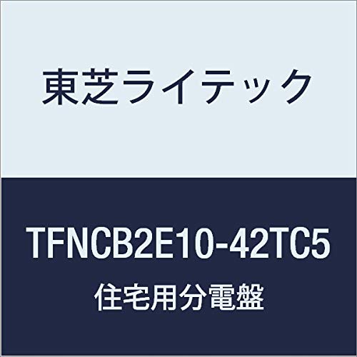 Toshiba Lighting & Technology TFNCB2E10-42TC5 N Series Distribution Board for Small Residential Use, All Electrification for Heat Storage Circuits, 100A, 5-2, with Door, Function Included