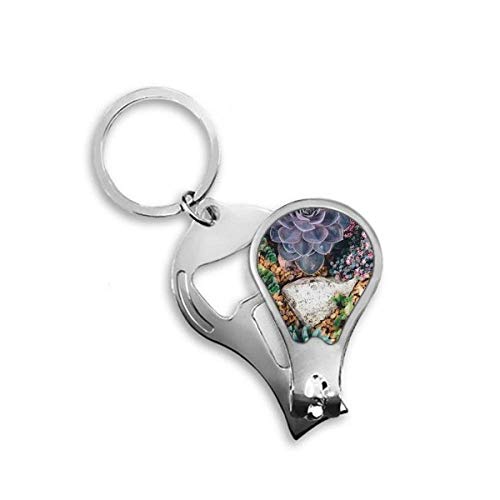 Coupe-ongles de pieds Sciences Fleur de pierre Nature Paysage en acier robuste