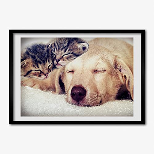 Affiche chiot et chats encadrée 70x50 cm Tulup en bois pour habiller un couloir sombre